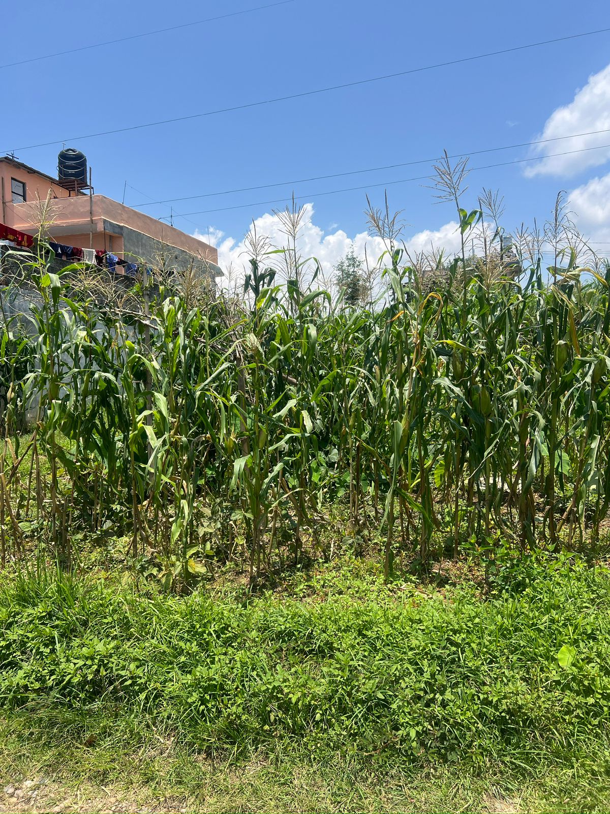 property-image